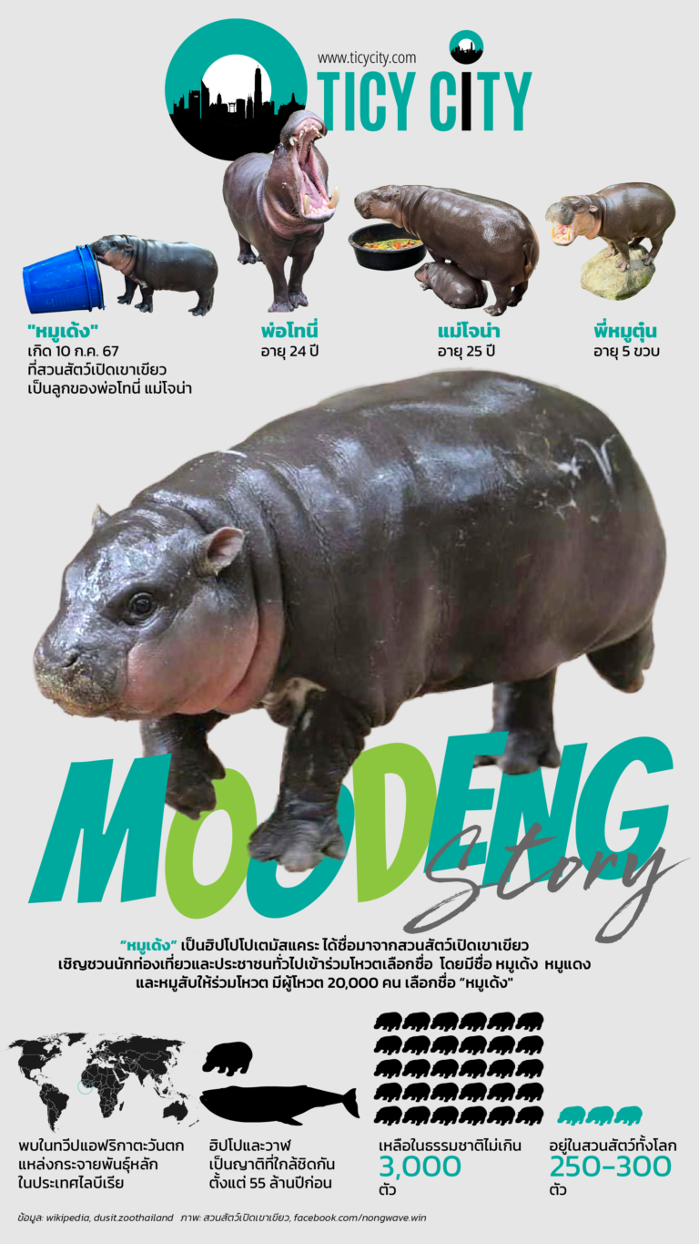 MOODENG