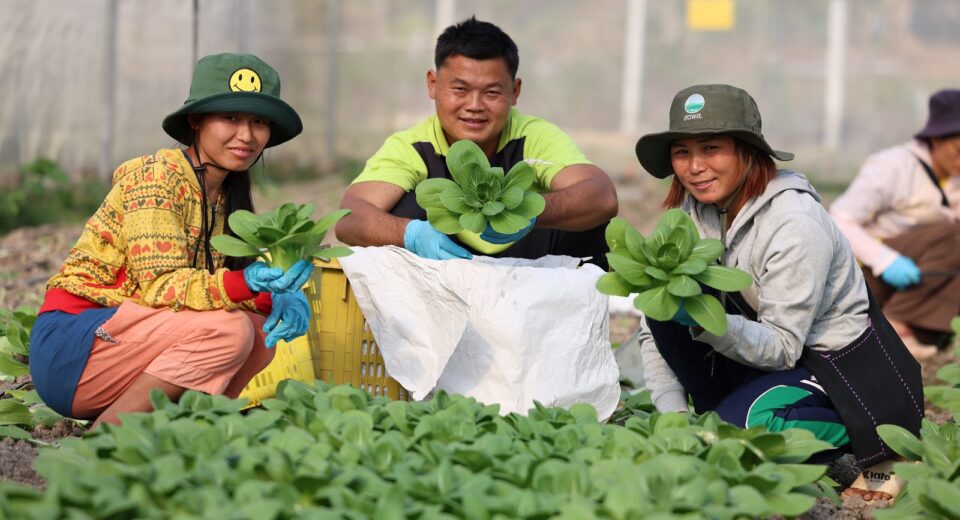 สวพส. ได้รับผลการประเมินการดำเนินงานองค์การมหาชน ประจำปีงบประมาณ พ.ศ. 2568