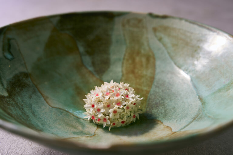 EBBE Bangkok เปิดตัวเมนูฤดูกาลใหม่ พร้อม “Discovery Menu” ประสบการณ์ไฟน์ไดนิ่งที่เข้าถึงได้มากขึ้น