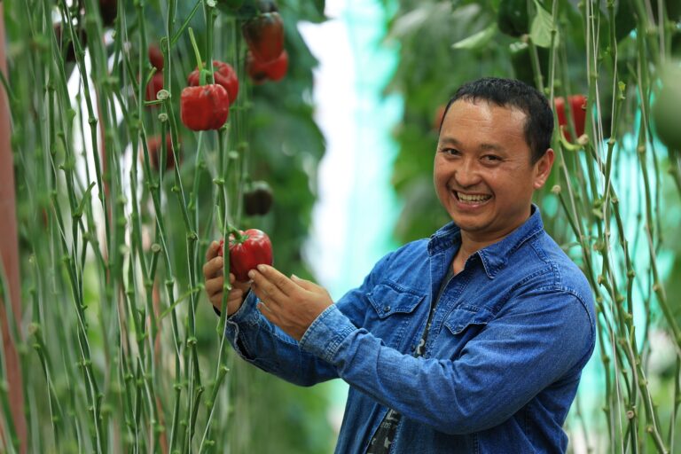 “สวพส.ส่งเสริมแหล่งน้ำขนาดเล็ก แก้ภัยแล้งพื้นที่สูง”